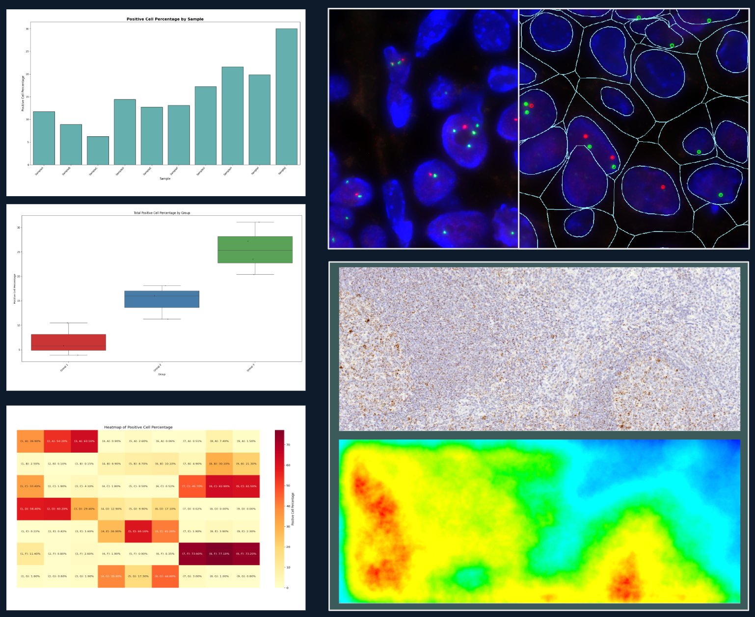 Sample analytical outputs: bar chart of positive-cell percentage by sample, box plot by group, RNA puncta detection overlays, IHC field with density heatmap, and per-sample heatmap