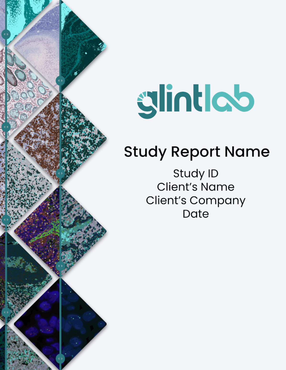 Animated preview of a Glint Lab study report